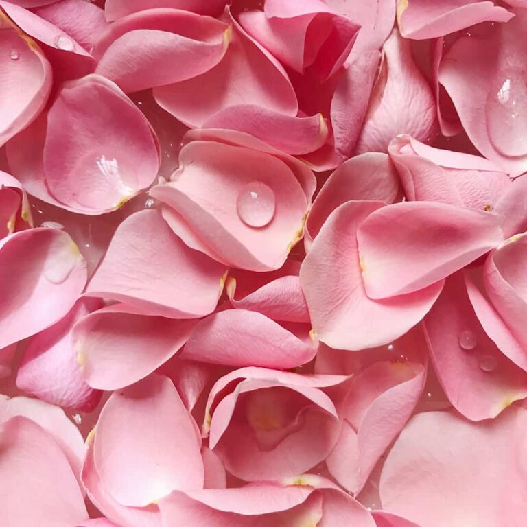rose water